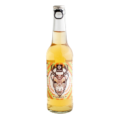 Kombucha cannelle anis Bio